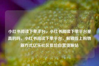 小红书阅读下单平台，小红书阅读下单平台是真的吗，小红书阅读下单平台，解锁线上购物新方式亿乐社区低价自营货源站
