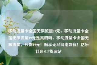 移动流量卡全国无限流量19元，移动流量卡全国无限流量19元是真的吗，移动流量卡全国无限流量，只需19元！畅享无尽网络盛宴！亿乐社区SUP货源站