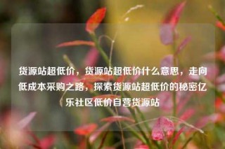货源站超低价，货源站超低价什么意思，走向低成本采购之路，探索货源站超低价的秘密亿乐社区低价自营货源站