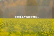 低价快手在线刷业务平台