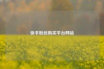 快手粉丝购买平台网站