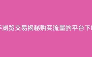 快手浏览交易：揭秘购买流量的平台