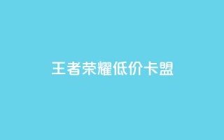 王者荣耀低价卡盟 - 王者荣耀超值卡盟优惠攻略~