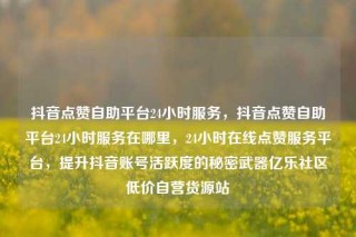 抖音点赞自助平台24小时服务，抖音点赞自助平台24小时服务在哪里，24小时在线点赞服务平台，提升抖音账号活跃度的秘密武器亿乐社区低价自营货源站