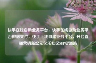 快手在线自助业务平台，快手在线自助业务平台微信支付，快手上线自建业务平台，开启直播营销新纪元亿乐社区SUP货源站