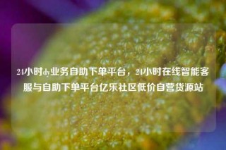 24小时dy业务自助下单平台，24小时在线智能客服与自助下单平台亿乐社区低价自营货源站