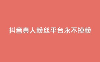 抖音真人粉丝平台 永不掉粉,二十四小时自助下单商城 - ks业务专区 - 快手业务24小时自助服务