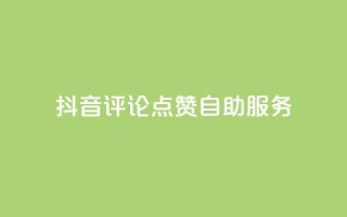 抖音评论点赞24自助服务,抖音怎么涨粉又快又有效 - 抖音1元100赞自助 - 发卡网商城