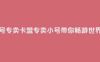 卡盟qq小号专卖 - 卡盟专卖QQ小号，带你畅游QQ世界!