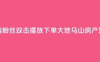 抖音粉丝双击播放下单0.01大地马山房产活动,子潇网络自助下单的链接 - ks全网最低价下单平台 - ks0.01刷100