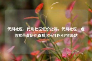 代刷社区，代刷社区低价货源，代刷社区，虚假繁荣背后的真相亿乐社区SUP货源站