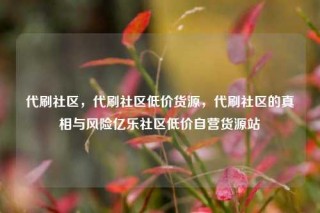 代刷社区，代刷社区低价货源，代刷社区的真相与风险亿乐社区低价自营货源站