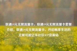 联通19元无限流量卡，联通19元无限流量卡套餐介绍，联通19元无限流量卡，开启畅享生活的无限可能亿乐社区SUP货源站
