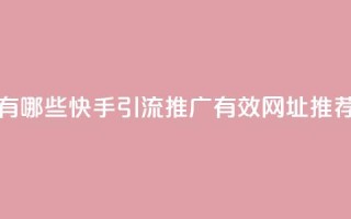 快手推广引流网址有哪些 - 快手引流推广有效网址推荐及使用攻略~