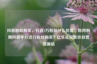 抖音粉丝购买，抖音2万粉丝什么价位，如何利用抖音平台进行粉丝购买？亿乐社区低价自营货源站