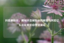 抖音刷粉丝，揭秘抖音刷粉丝的秘密与风险亿乐社区低价自营货源站