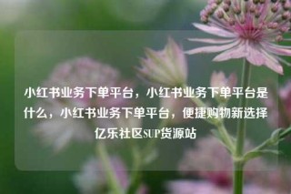 小红书业务下单平台，小红书业务下单平台是什么，小红书业务下单平台，便捷购物新选择亿乐社区SUP货源站
