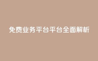 免费业务平台KS平台全面解析