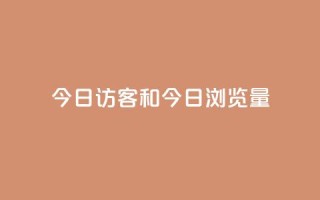 今日访客和今日浏览量 - 抖音1到20级灯牌亲密表
