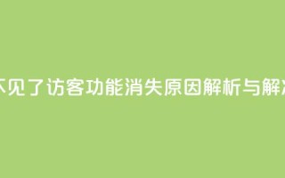 qq访客怎么看不见了 - QQ访客功能消失原因解析与解决方案~