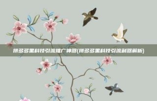 拼多多黑科技引流推广神器(拼多多黑科技引流利器解析)