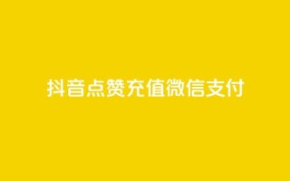 抖音点赞充值微信支付 - 抖音点赞充值支持微信支付全攻略。
