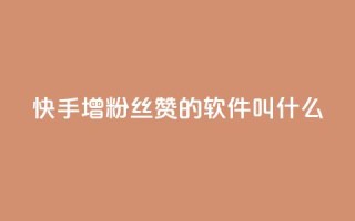 快手增粉丝赞的软件叫什么,qq说说赞空间说说的网站 - 快手自助平台业务下单真人 - qq空间点赞充值