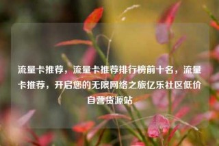 流量卡推荐，流量卡推荐排行榜前十名，流量卡推荐，开启您的无限网络之旅亿乐社区低价自营货源站
