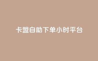卡盟自助下单24小时平台,抖音买1000粉240元贵吗 - QQ名片卡点赞 - qq业务全网最低价