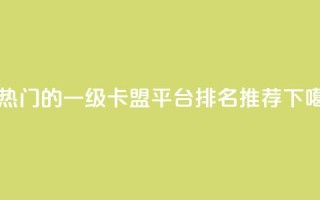最热门的一级卡盟平台排名推荐