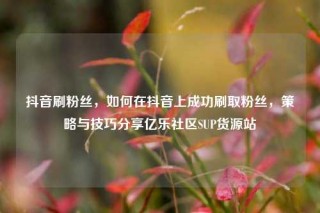 抖音刷粉丝，如何在抖音上成功刷取粉丝，策略与技巧分享亿乐社区SUP货源站
