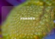 抖音购物推荐