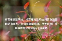 抖音涨流量网站，抖音涨流量网站,抖音涨流量网站有哪些，抖音涨流量秘籍，从零开始打造爆款作品亿乐社区SUP货源站