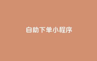 自助下单小程序,dy点赞24小时 - QQ空间访问量免费 - ks业务下单平台最新