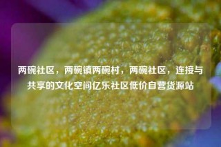 两碗社区，两碗镇两碗村，两碗社区，连接与共享的文化空间亿乐社区低价自营货源站