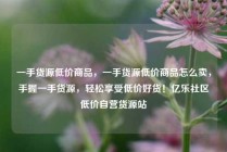 一手货源低价商品，一手货源低价商品怎么卖，手握一手货源，轻松享受低价好货！亿乐社区低价自营货源站