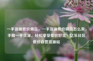 一手货源低价商品，一手货源低价商品怎么卖，手握一手货源，轻松享受低价好货！亿乐社区低价自营货源站