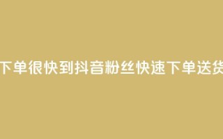 抖音粉丝在线下单很快到 - 抖音粉丝快速下单，送货更及时~
