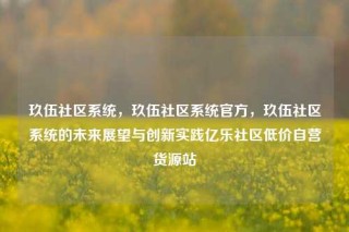玖伍社区系统，玖伍社区系统官方，玖伍社区系统的未来展望与创新实践亿乐社区低价自营货源站