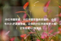 小红书播放量，小红书播放量有收益吗，小红书大计:逆袭播放量，让你的小红书视频更火爆！亿乐社区SUP货源站