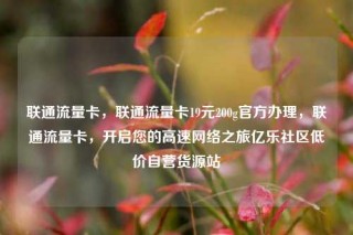 联通流量卡，联通流量卡19元200g官方办理，联通流量卡，开启您的高速网络之旅亿乐社区低价自营货源站