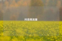 抖音高流量