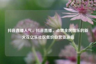 抖音直播人气，抖音直播，点燃全民娱乐的新火花亿乐社区低价自营货源站