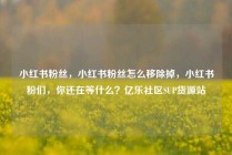 小红书粉丝，小红书粉丝怎么移除掉，小红书粉们，你还在等什么？亿乐社区SUP货源站