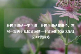 社区货源站一手货源，社区货源站超低价，再写一篇关于社区货源站一手货源的文章亿乐社区SUP货源站