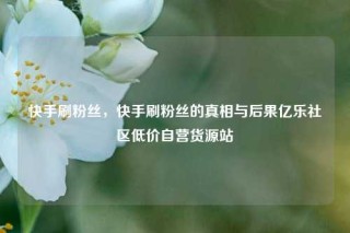 快手刷粉丝，快手刷粉丝的真相与后果亿乐社区低价自营货源站