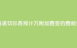 罗马诺：切尔西预计3400万+附加费签约费利克斯