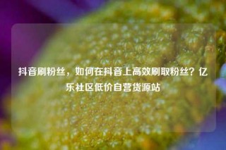 抖音刷粉丝，如何在抖音上高效刷取粉丝？亿乐社区低价自营货源站