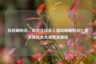抖音刷粉丝，如何在抖音上成功刷取粉丝？亿乐社区低价自营货源站