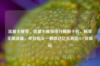 流量卡推荐，流量卡推荐排行榜前十名，畅享无限流量，尽在指尖一触即达亿乐社区SUP货源站